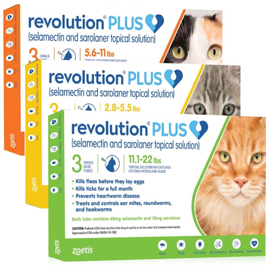 Revolution Plus2