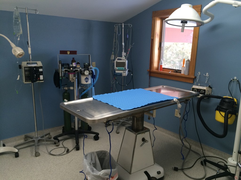 Surgery Black Earth Veterinary Clinic